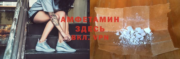 ГАЛЛЮЦИНОГЕННЫЕ ГРИБЫ Липки