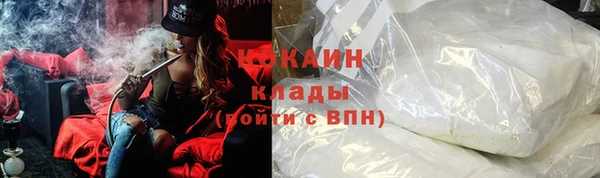 шишки Лиски