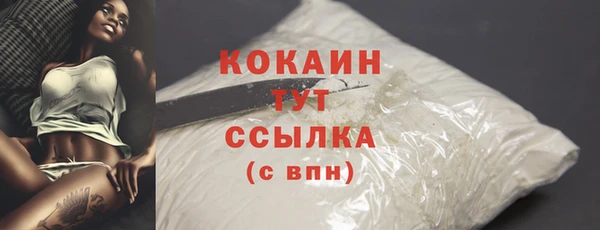 шишки Лиски