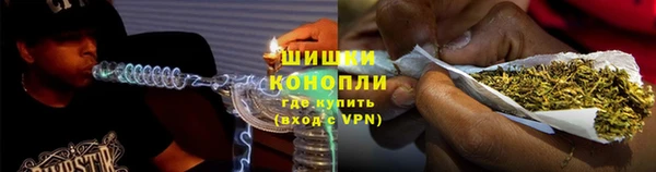 шишки Лиски