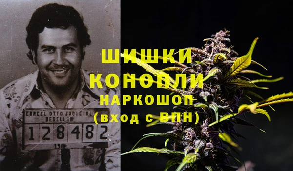 ГАЛЛЮЦИНОГЕННЫЕ ГРИБЫ Липки