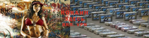 ГАЛЛЮЦИНОГЕННЫЕ ГРИБЫ Липки